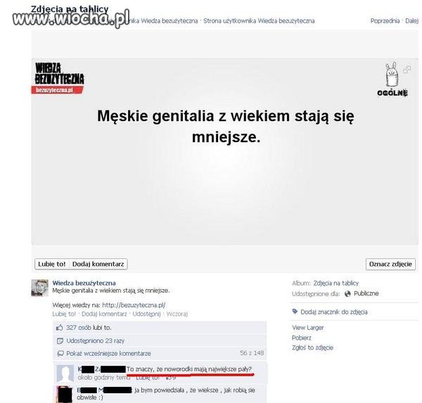 Męskie genitalia