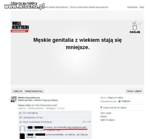 Męskie genitalia