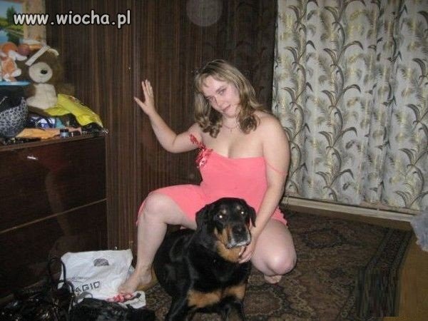 Suka to czy pies ??
