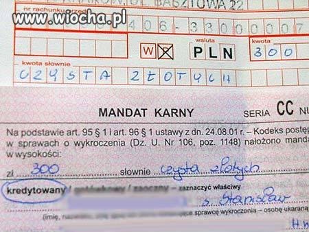 Czysta złotych mandatu