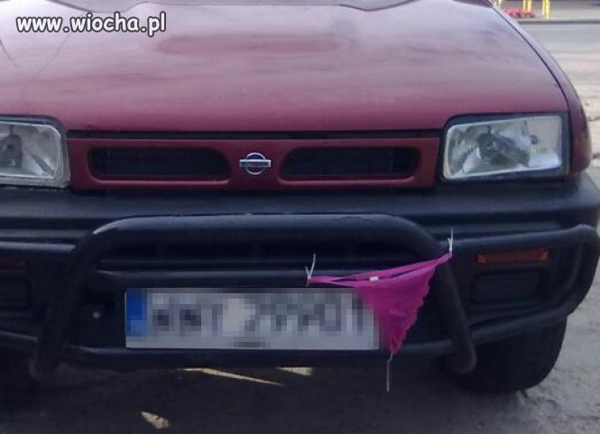 Kochanie widziałeś moje majtki