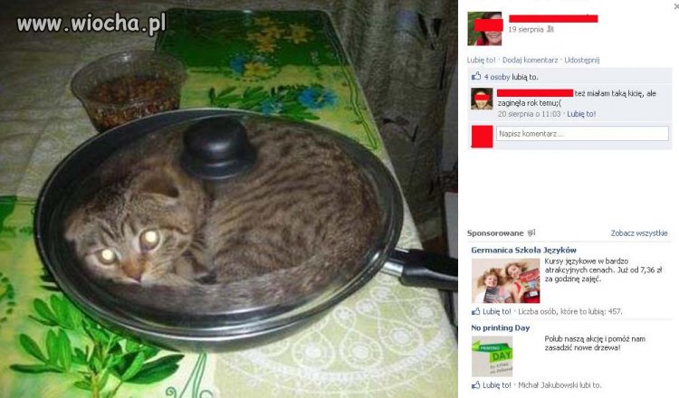 Więc trzeba się pochwalić głupotą na fb...
