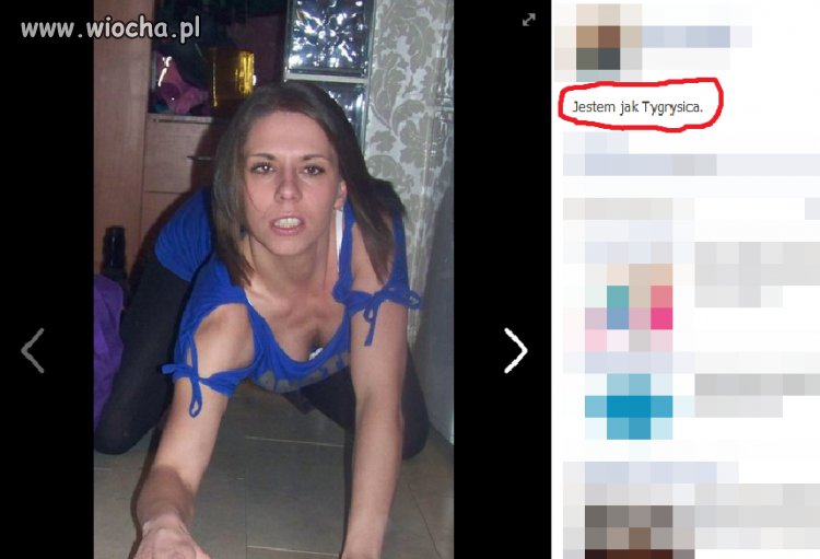 Jestem jak tyrgrysica