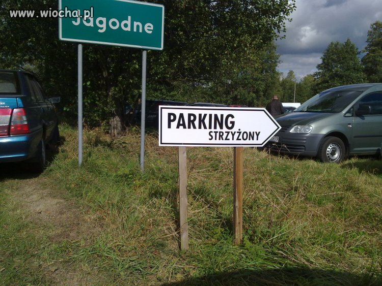 Parking strzyżony