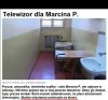 Wzbudzanie zaufania