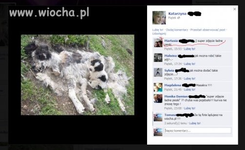 Nie da się określić tego zdjęcia...