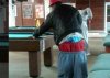 Stylowy bilardzista