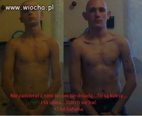 Skoksione chomiki 