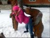Wiocha na fb
