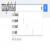 Wujek google