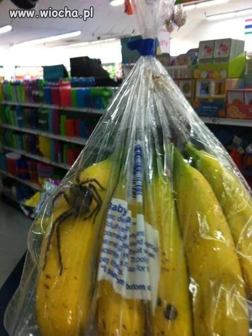 Mmmm 