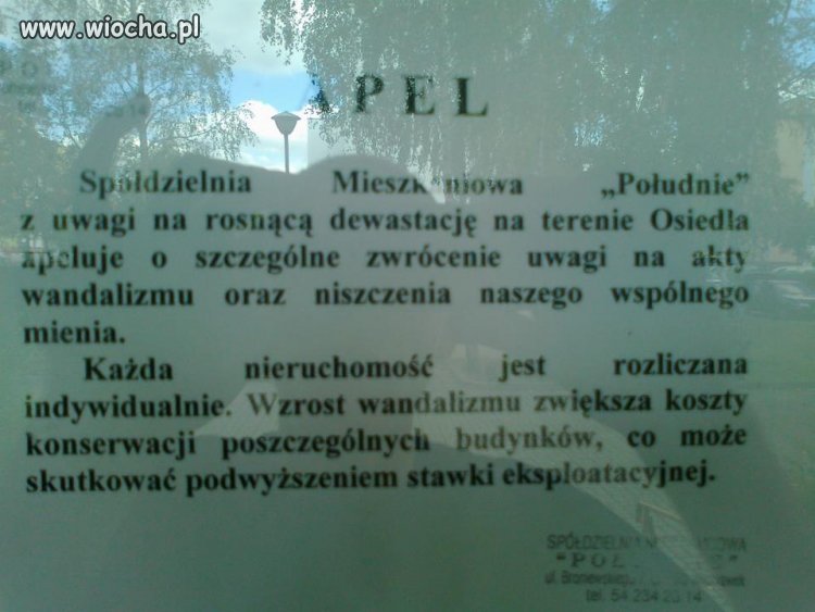 To co robią Ci ludzie