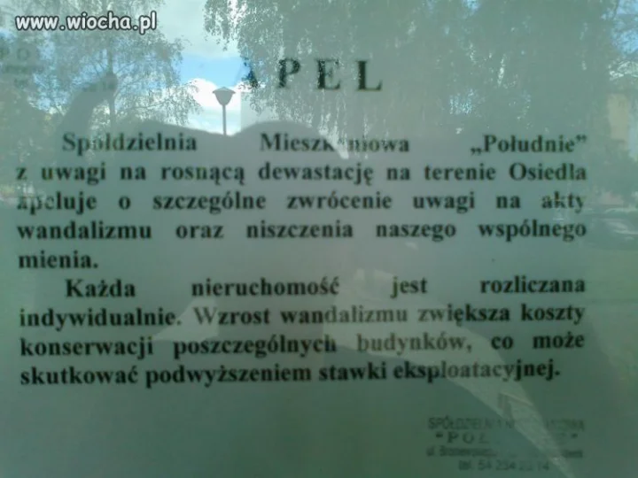 To co robią Ci ludzie