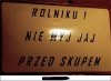 No właśnie 