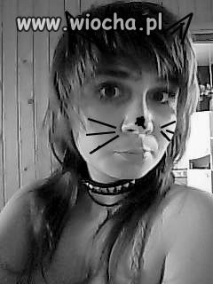 Mistrz Painta