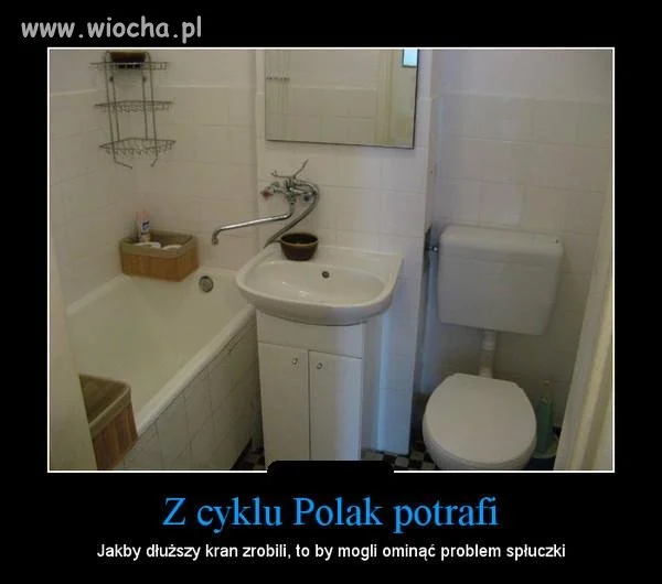 Z cyklu Polak potrafi