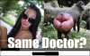 Same Doctor