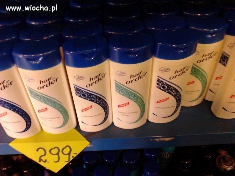 Bo Head & Shoulders