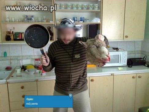 Szef kuchni...