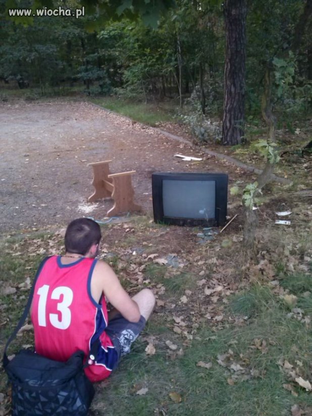Z telewizorem 