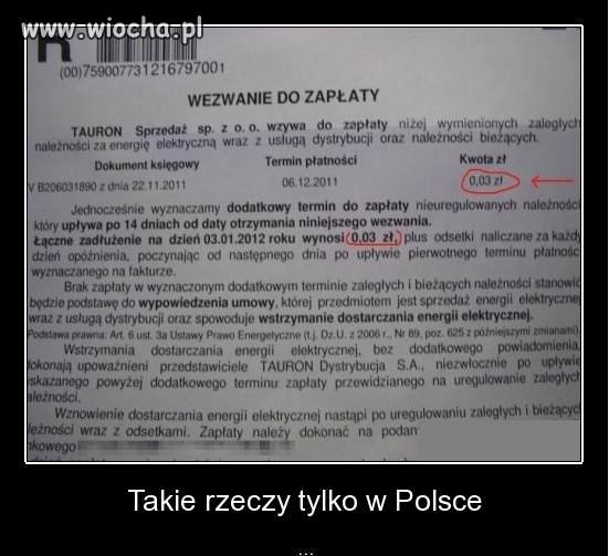 Głupota