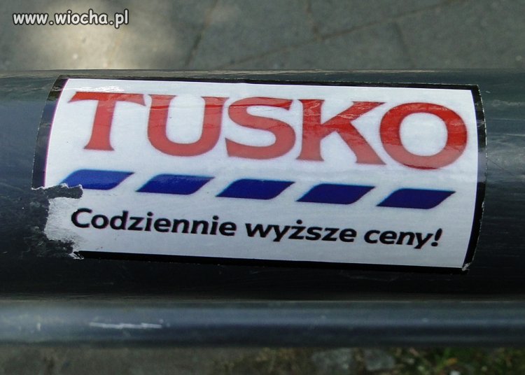Nowa sieć marketów