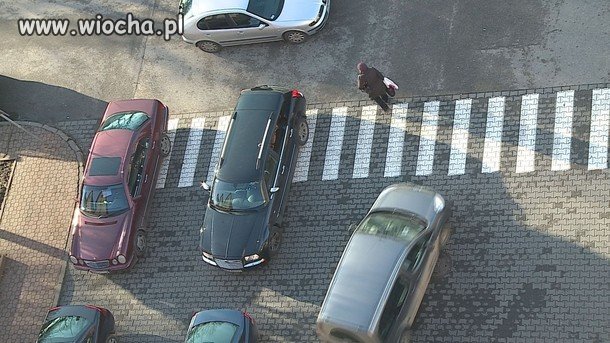 Pasy nam niestraszne