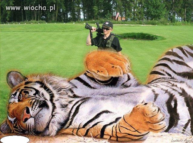 Fotoshop