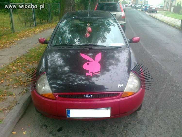 Pussywagon