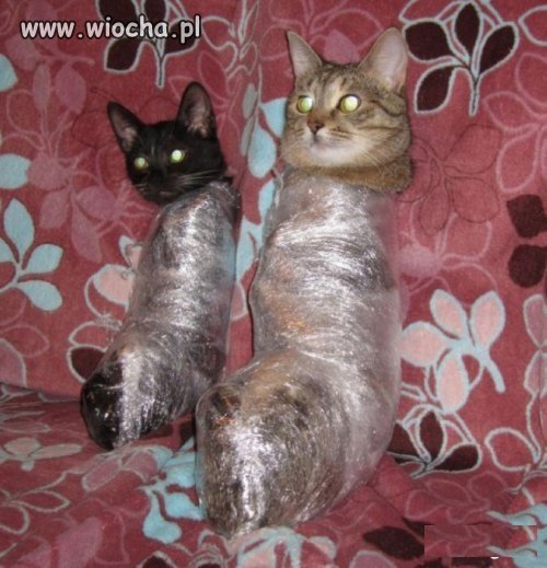 Sklep internetowy powinien taki towar...