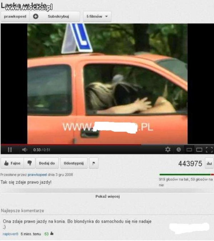 Tak zdają prawo jazdy...