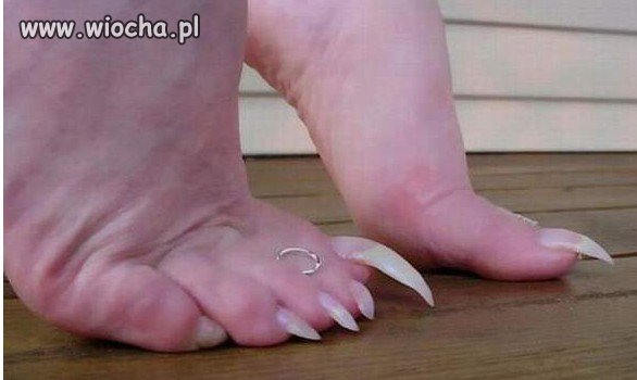 Szpony.