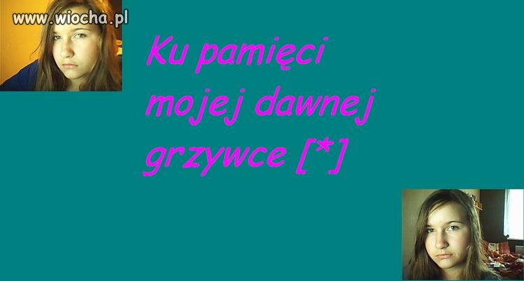 Nic dodać  nic  ująć 