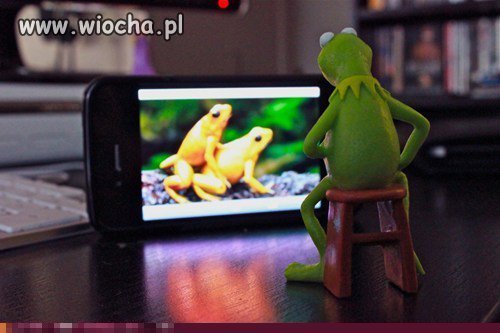 Kermit
