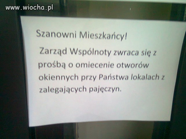 Wstyd 
