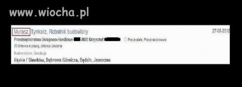 Nowy zawód - muraSZ