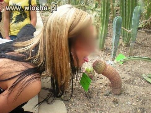 Z wizytą w ogrodzie botanicznym...