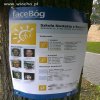 FaceBóg