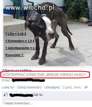Nie wiem czy pies skorzysta na lajkowniu ale..