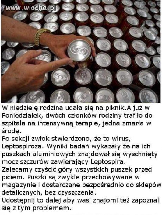 Mocz szczurów na puszkach...