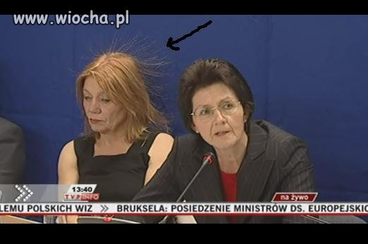 Polska Carmen Elektra?