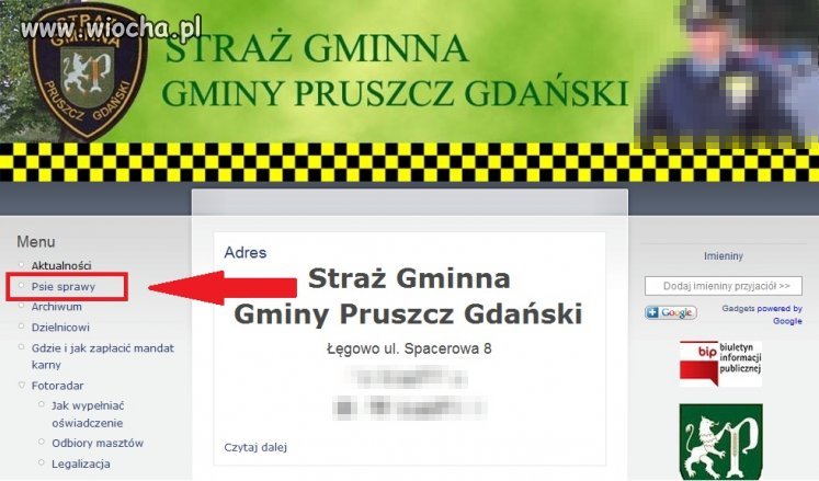 Psie sprawy...