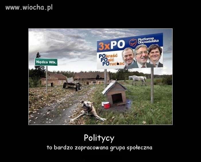 Politycy