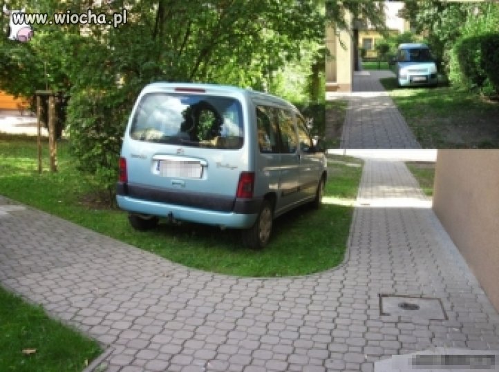 Zaparkuje sobie w cieniu ... 