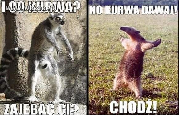 CHODŹ TU