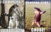 CHODŹ TU