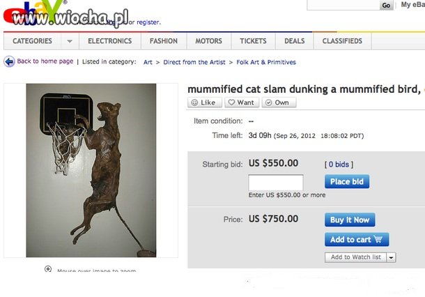 Zmumifikowany kot na Ebay