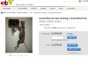 Zmumifikowany kot na Ebay