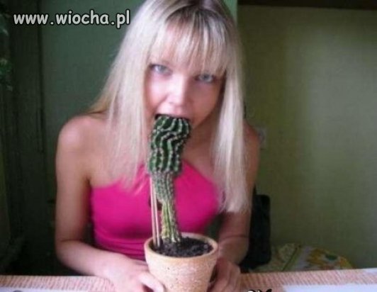 I do buzi go wzieła