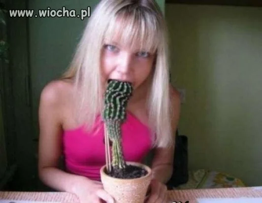 I do buzi go wzieła